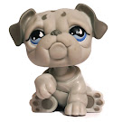 Littlest Pet Shop Pet Pairs Bulldog (#508) Pet Littlest Pet Shop Pet Pairs Bulldog (#508) Pet