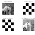 MATLAB CODES - Image Complement and Adding Brightness to the Image