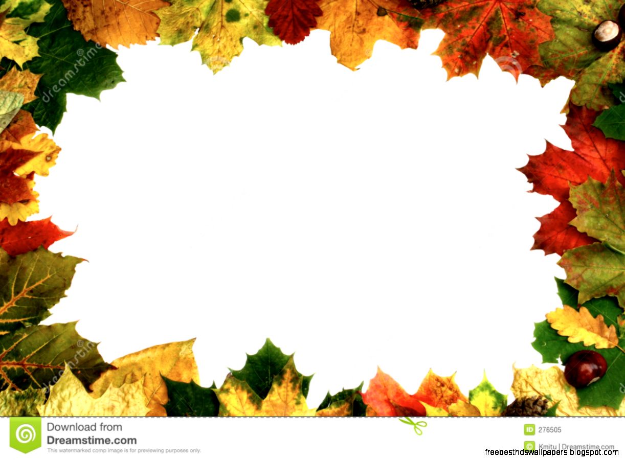 Natural Frame Royalty Free Stock Photo   Image 276505