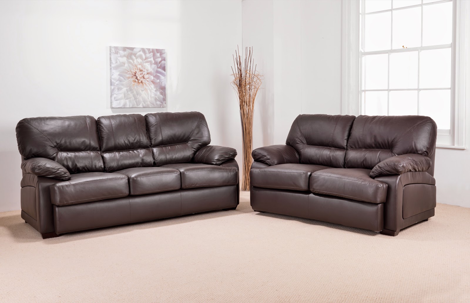 Elegant leather sofas
