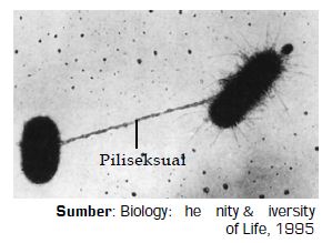 Pengertian Organisme Kingdom Monera Eubacteria serta Bentuk dan