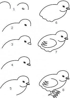 8 Langkah mudah menggambar anak ayam