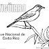 colorear símbolos patrios de Costa Rica