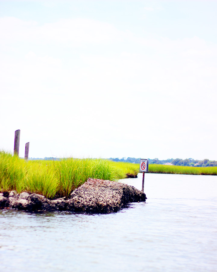 Sakinice Blog sakinice-blog