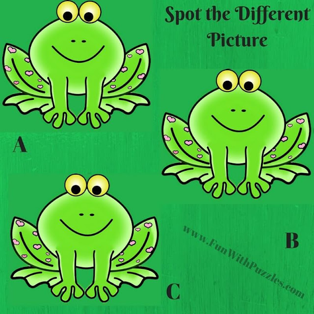 Spot The Different Picture Puzzles-Frog