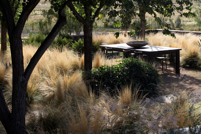 ARAÑAZOS EN EL CIELO: julio 2012