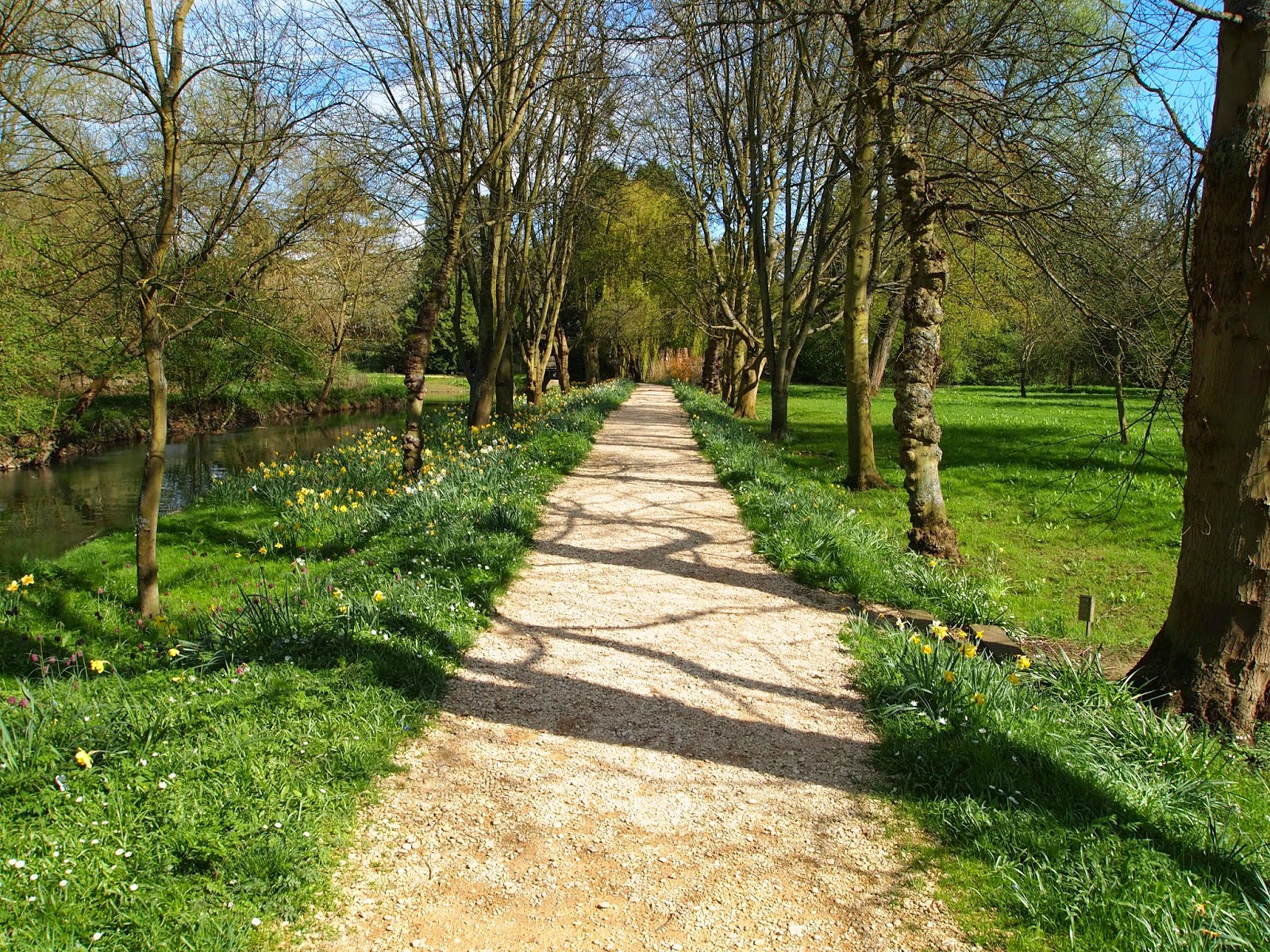 Muddy Musings Magdalen College, Oxford Addison's Walk