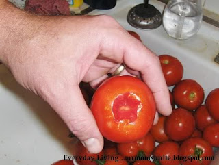 photo of cored tomato