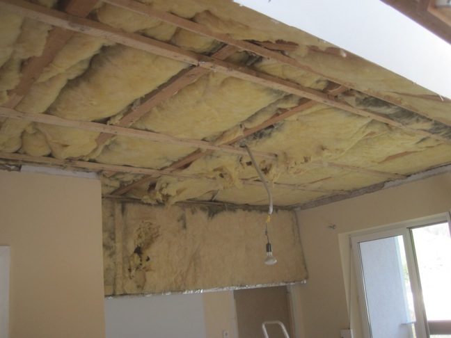 auf da zachal-baustö: Was bisher geschah