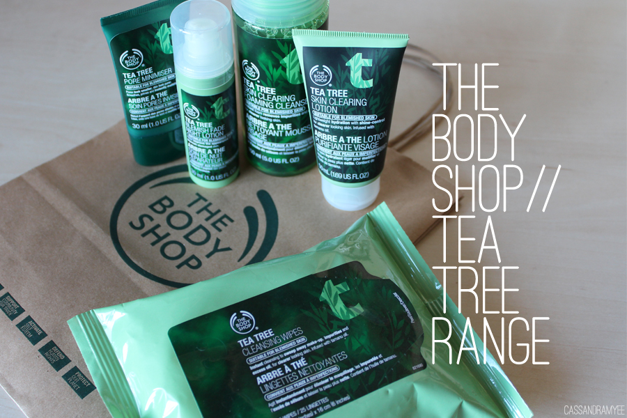 THE BODY SHOP Tea Tree Skincare Range Haul + First Impressions