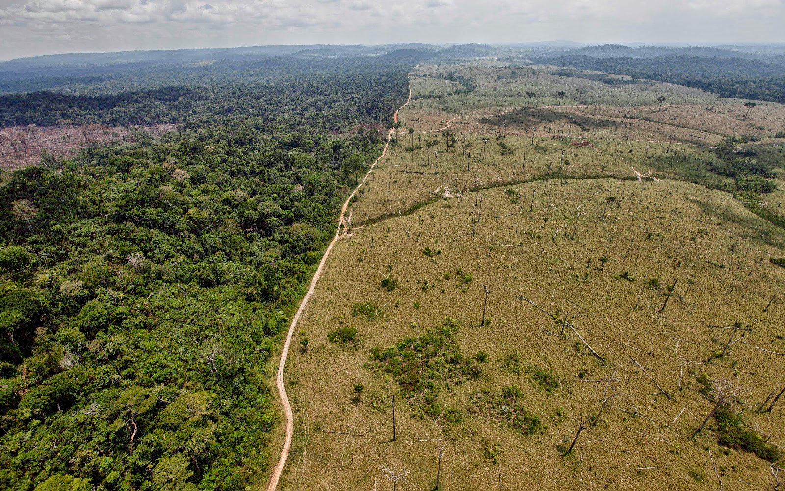 la-deforestaci-n-de-la-selva-amaz-nica-de-brasil-crece-m-s-del-500-en