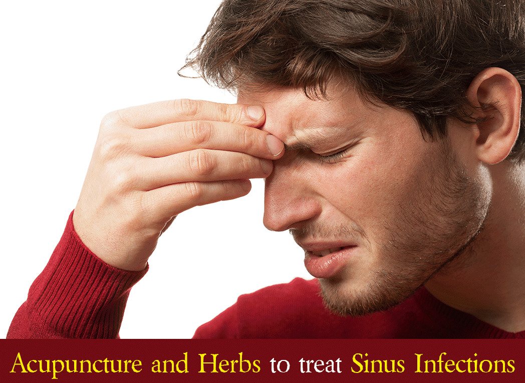 Care Cure Acupuncture & Chinese Medicine