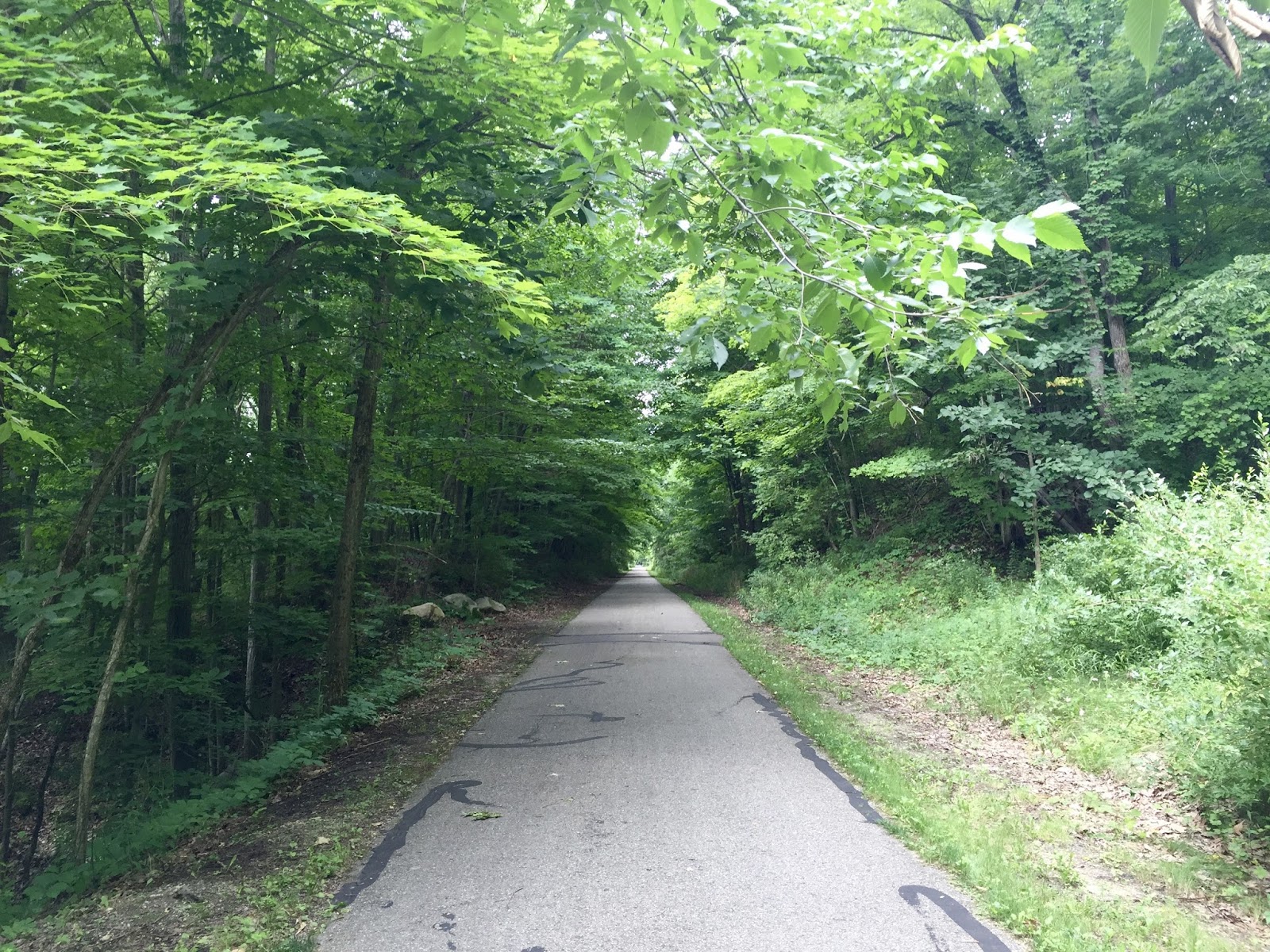 Along the Way White Pine Trail Comstock Park to Rockford (MI)