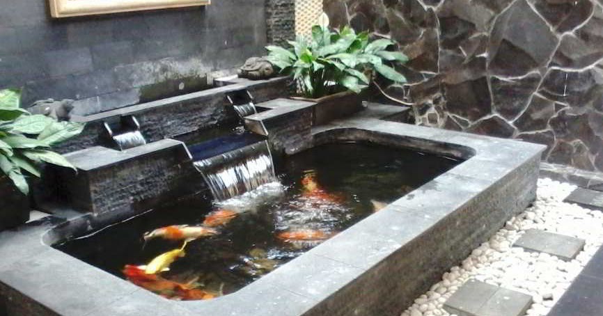 Kolam Ikan Hias Kecil Tentang Kolam Kandang Ternak
