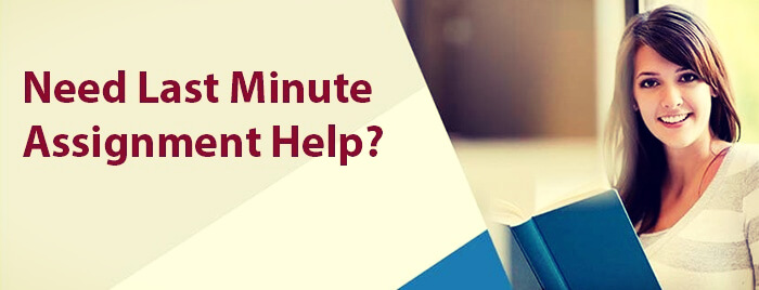 Last minute homework help image