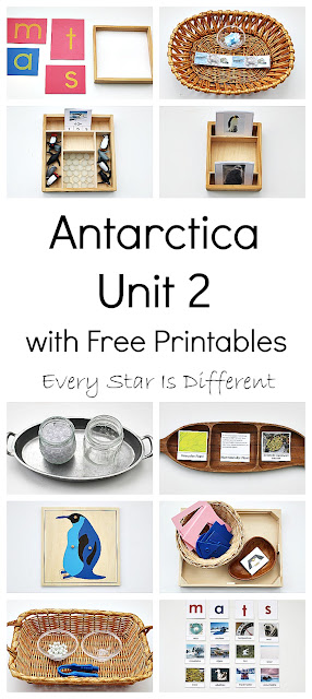 Montessori-inspired Antarctica learning activities and free printables for kids.