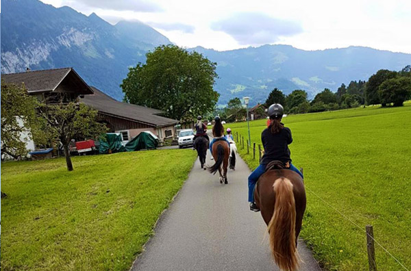 Happy Horse Farms - Negros Occidental Tourist Destinations - Talisay City - Bacolod City - Bacolod blogger - equine farms - horseback riding