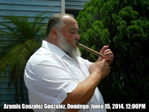 Aramis Gonzalez Gonzalez de Santiago de Las Vegas En Tampa, Florida, EE.UU. Domingo, Junio 15, 2014