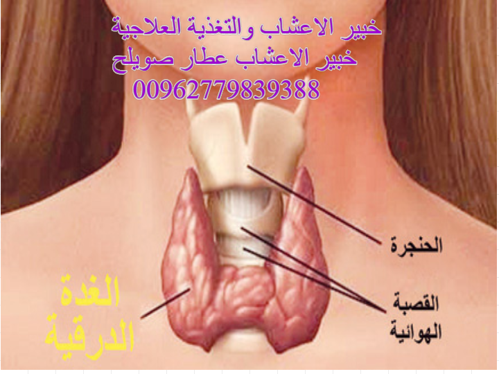 أعراض الغدة النشطة