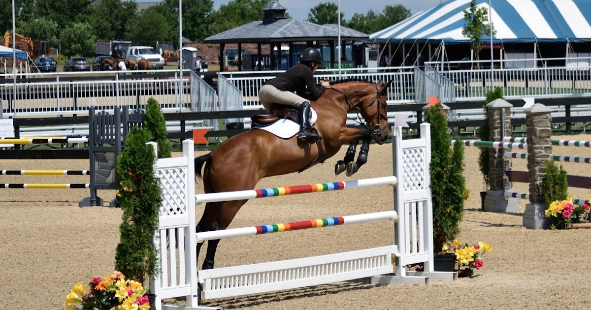 They Neigh, I Pay... 10 Things You Didn't Know About Zander the Wonder Horse