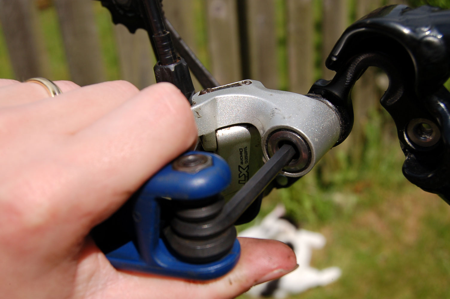 How To Convert A Bike To Single Speed Vertical Drop Out Frame