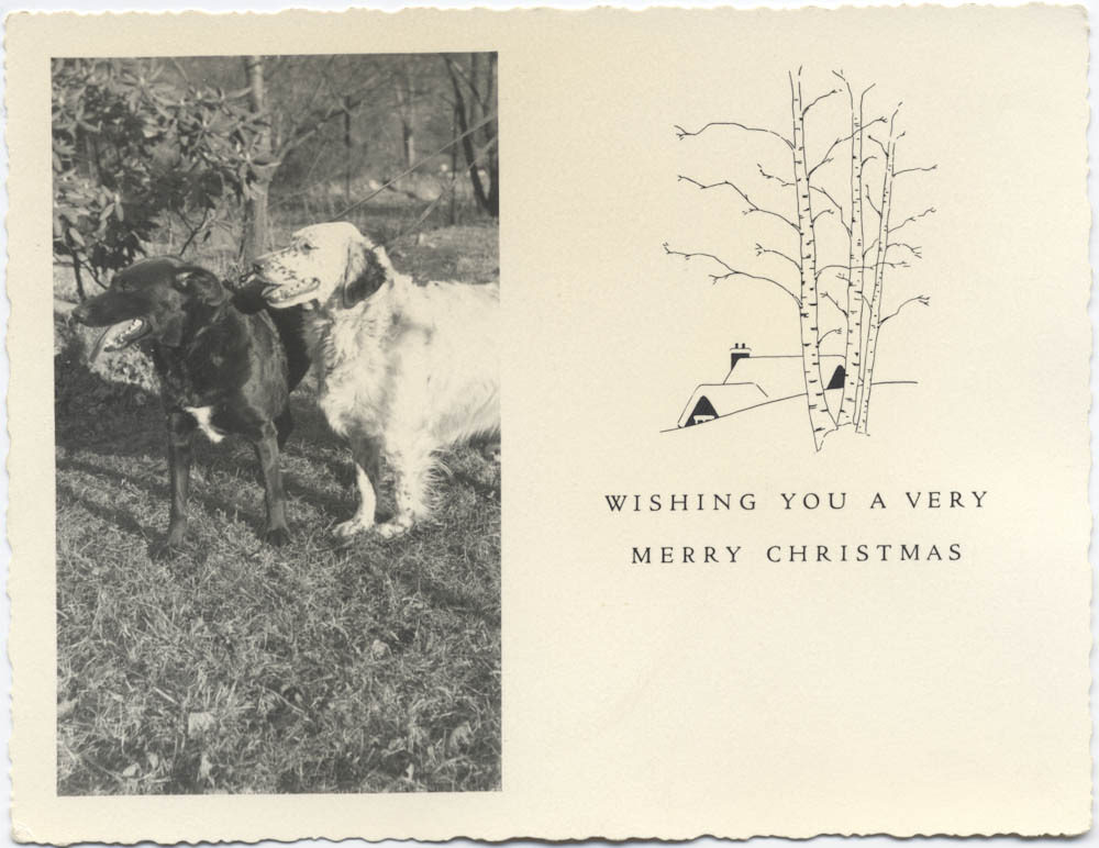 22 Lovely Family Postcards You Also Want to Have for Christmas ...