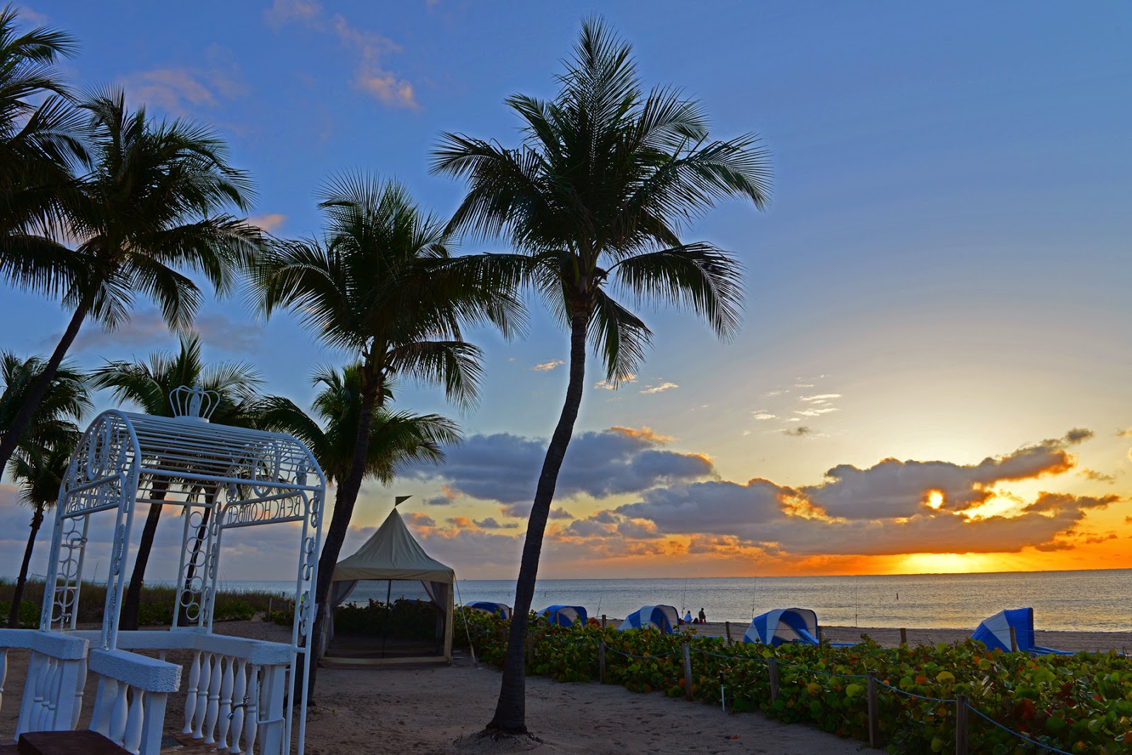 beachcomberflorida