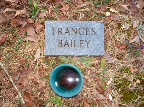 Frances Rainwater Bailey, Blooming Grove Cemetery, Polk County, Georgia