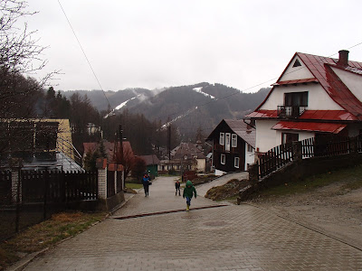 Szczawnica, szlaki turystyczne wokół Szczawnicy, Bereśnik, Bryjarka,  grzyby wiosenne, grzyby w kwietniu, atak zimy