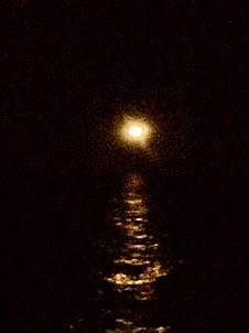 Gulf Moon