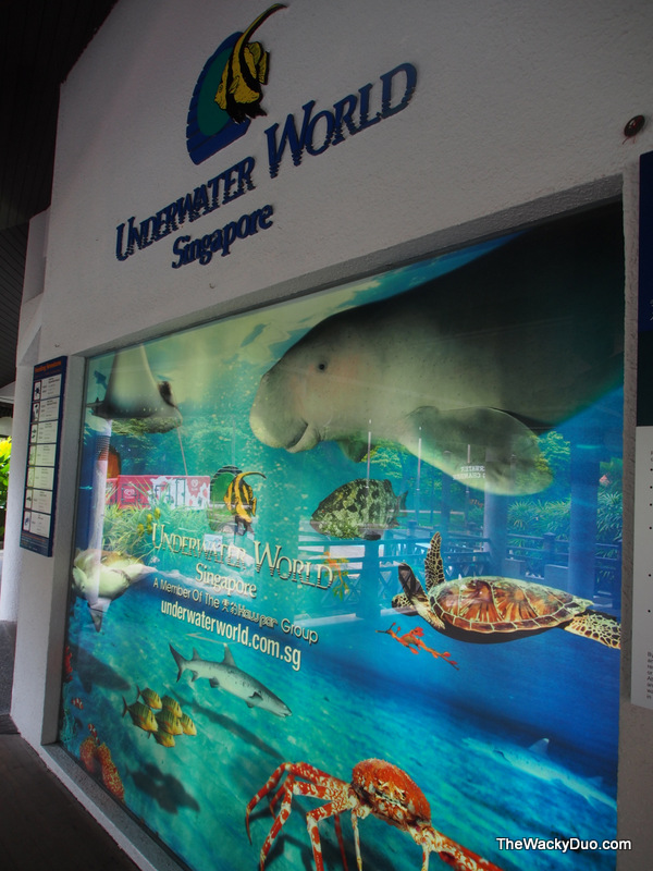 Underwater World Singapore 2012