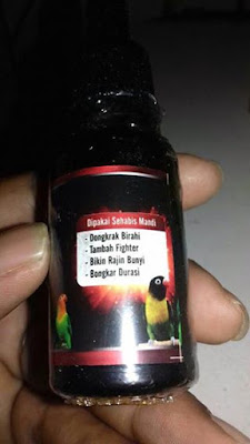 12 Vitamin Yang Ampuh Untuk Meningkatkan Kualitas Lovebird