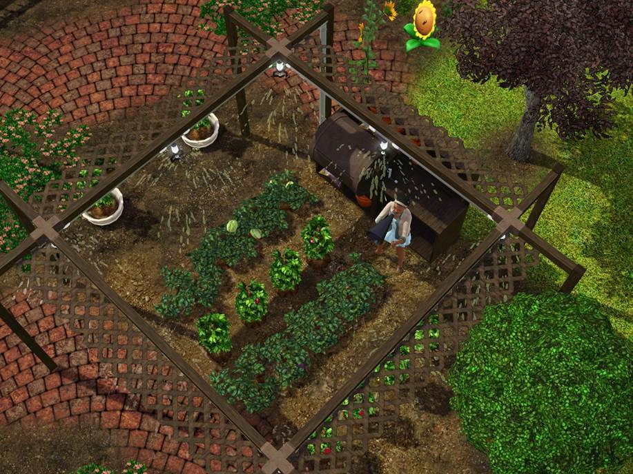 огород 3 лицо. огород 3 лицо. симс 2 огород. декоративный огород. огород 6 соток.