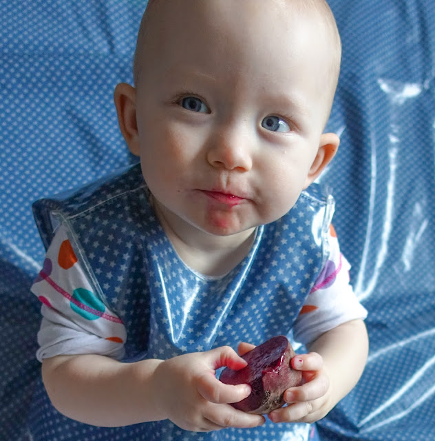 A close up of a baby with pink liquid around her mouth, holding a cut juicy beetroot. The baby is wearing a Messy Me tunic Bib which is in blue print with white stars