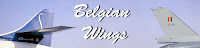 www.belgian-wings.be
