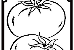 Mewarnai Gambar Pohon Tomat Gambar Mewarnai Hd