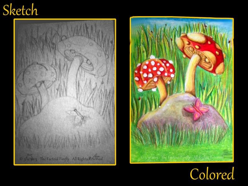 The Factoid Firefly Dry Mediums Versus Wet Mediums