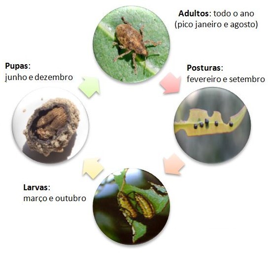 A Bugs Life Wikipdia, a enciclopdia livre