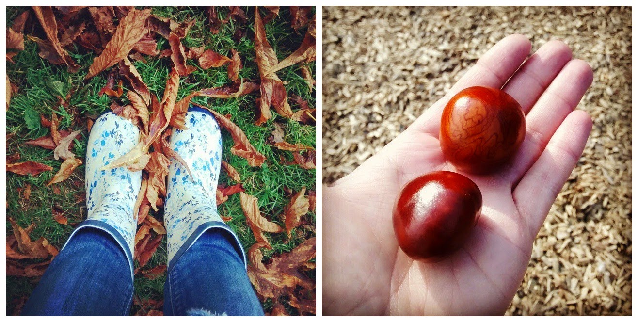collecting conkers