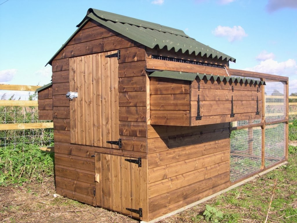 Chicken House Plans: 3 Top Tips For Building Chicken Coops