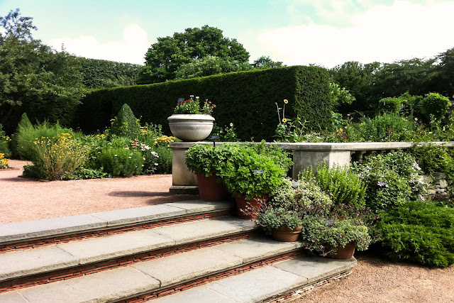 chicago botanic garden, english walled garden, public gardens, anne butera, my giant strawberry, container gardens, potted geraniums