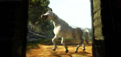 donkey - horse dancing - shrek