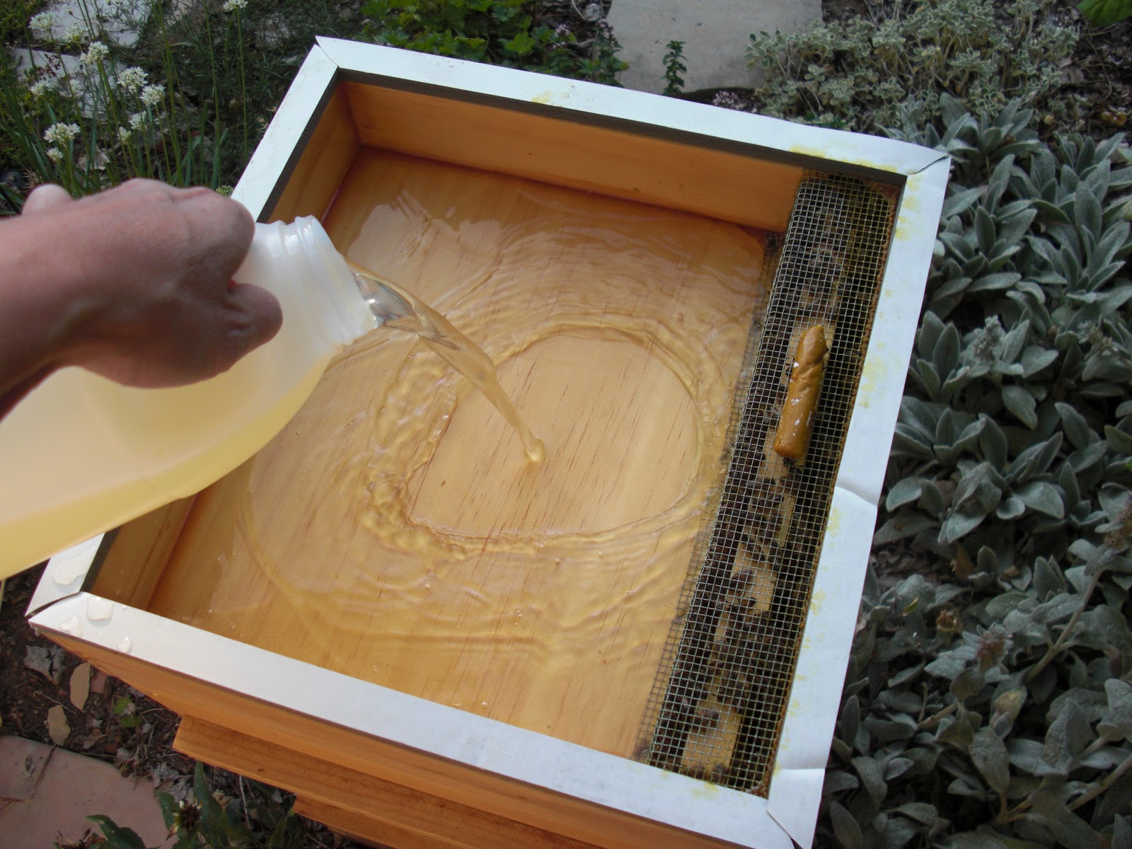 Backyard Bee Hive Blog How to use a Hive Top Feeder Part II