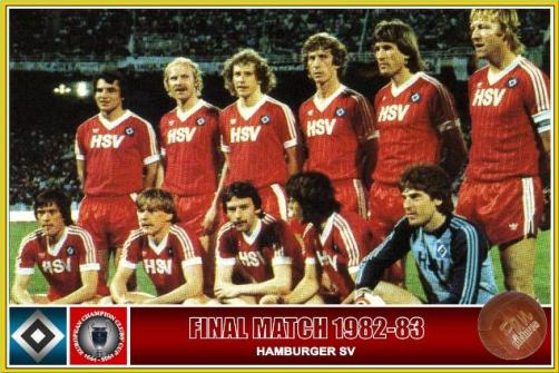 Hamburger SV HSV Adesivo 3D Calcio Diamante Metallico - Foto 14