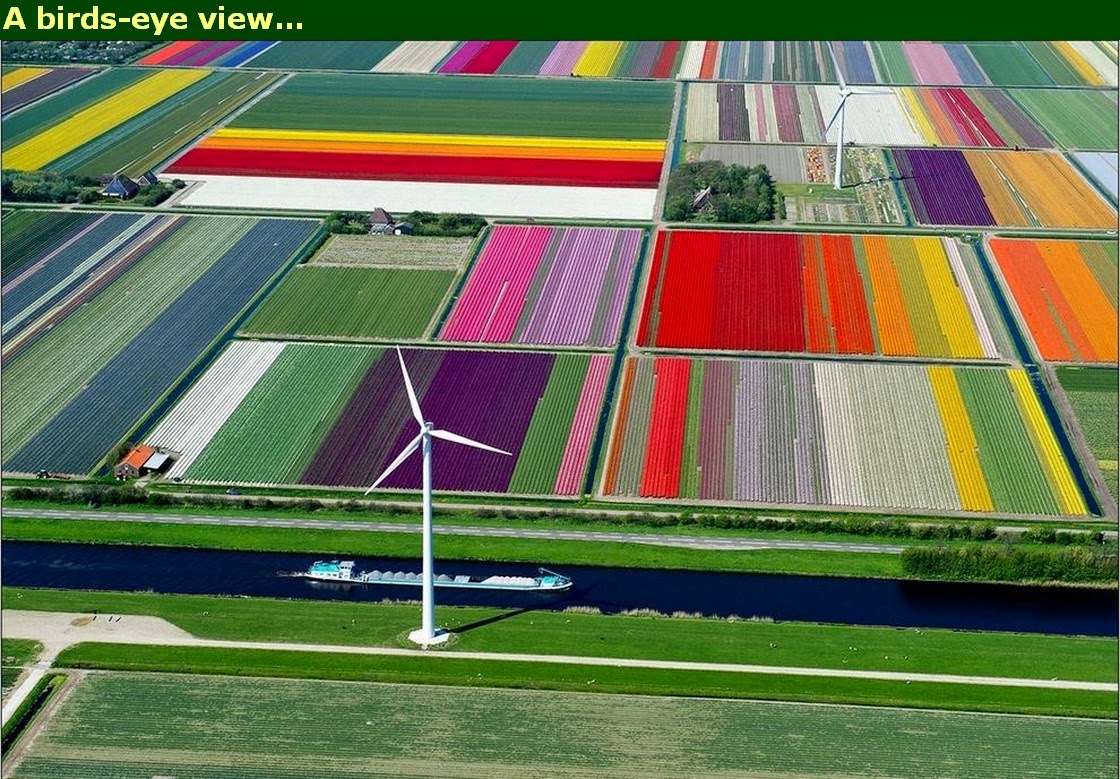 Chuck's Fun Page 2: A birds-eye view of our wonderful earth (20 photos)