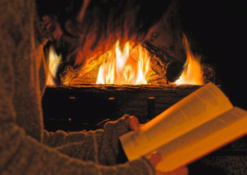 Fireplace%2Breading.gif
