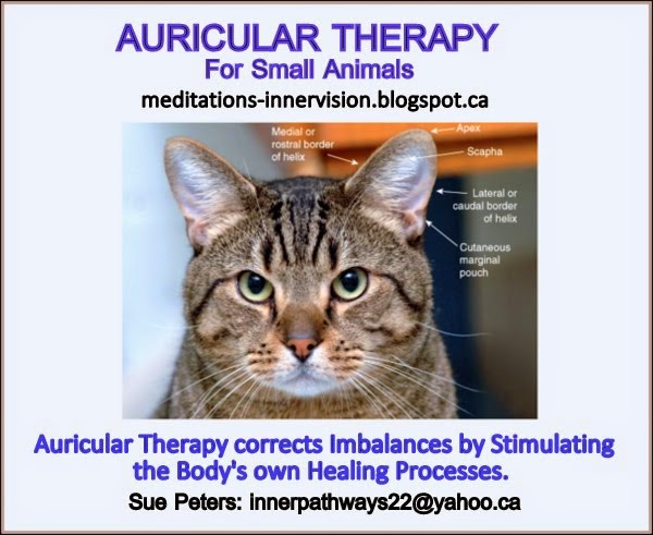 Auricular Therapy for Small Animals