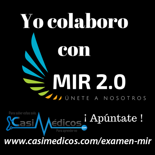 Proyecto MIR 2.0