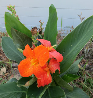 Deborah's Bits and Pieces: Slow Sundays are all about stitching