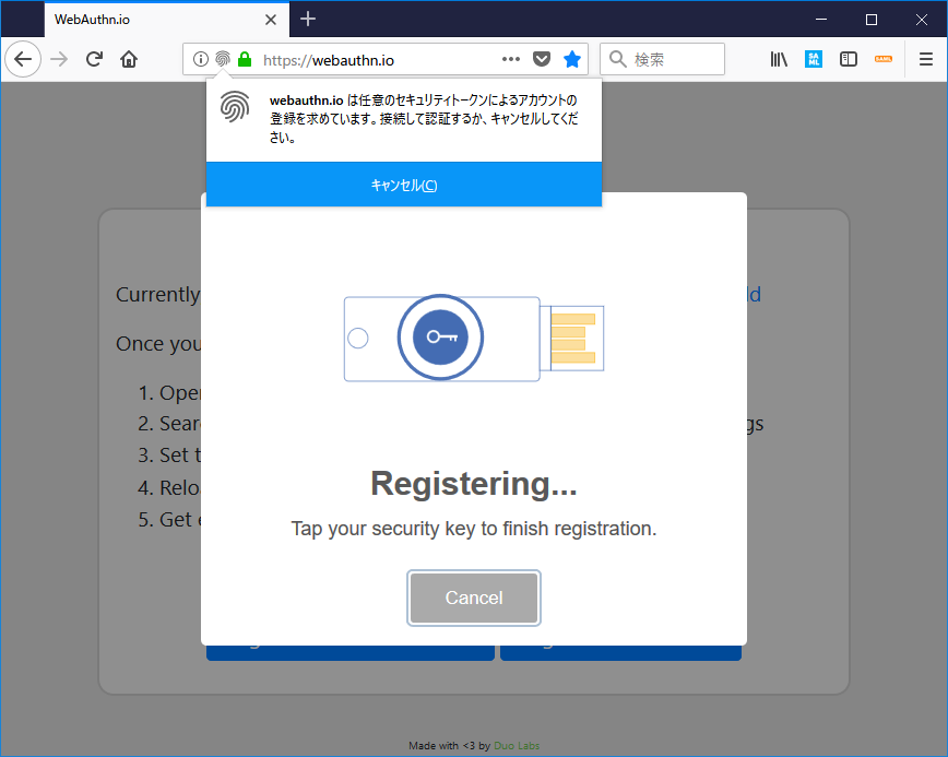コロンビアの鳥 - ひげを生やしたタチュリ